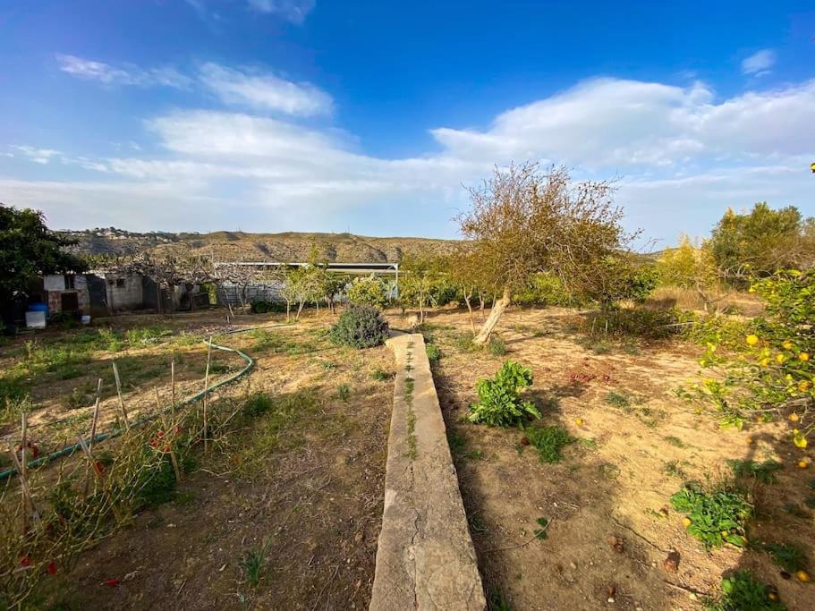Villa Caliquena, Casa De Campo Torrent  Kültér fotó